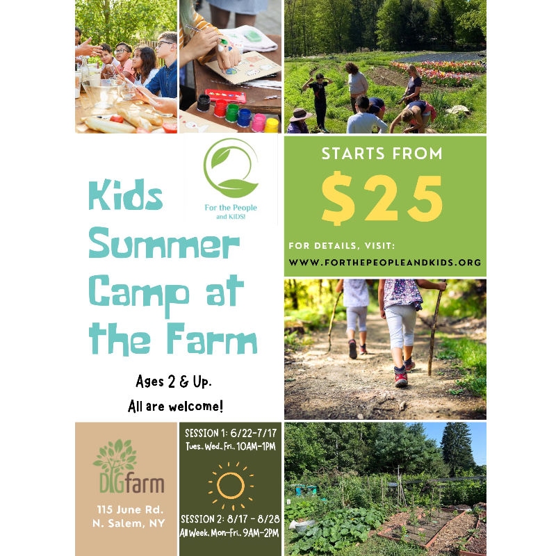 2026 Summer Camp at DIG Farm