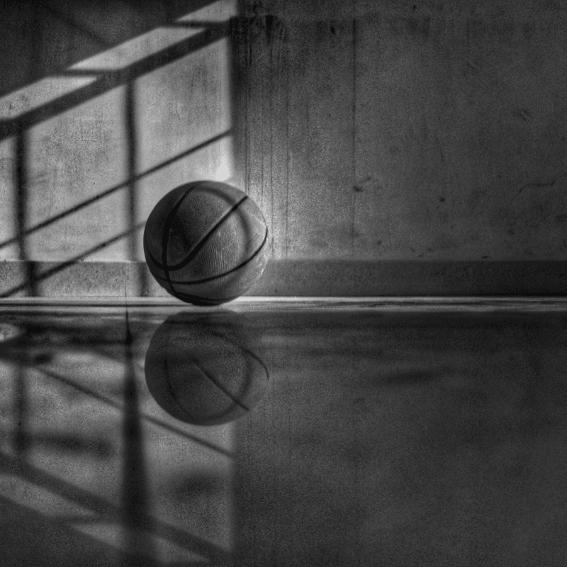 Bruins Summer Hoops Basketball Camp