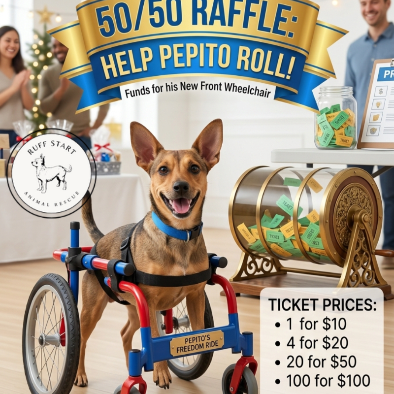 HELP PEPITO ROLL! 🐾 50/50 RAFFLE
