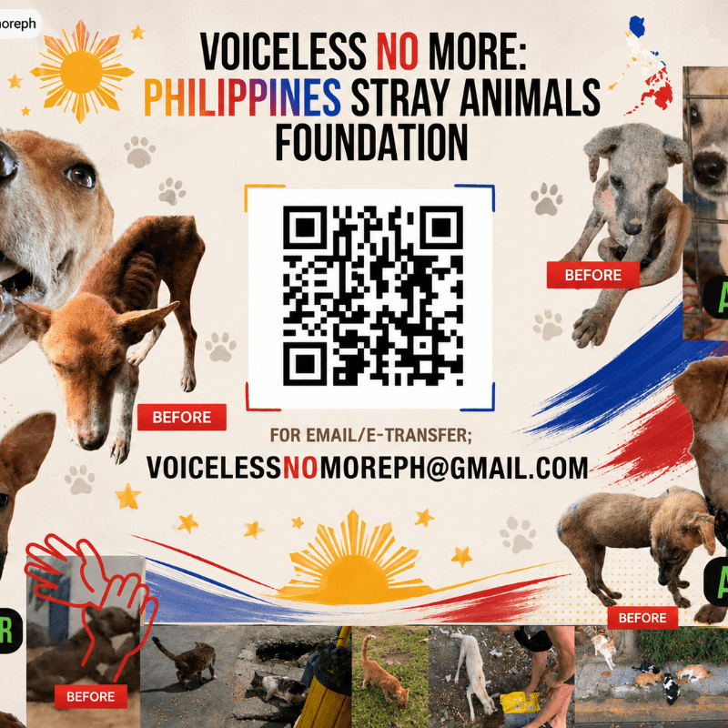 Join Our Pack – Become a Monthly Supporter