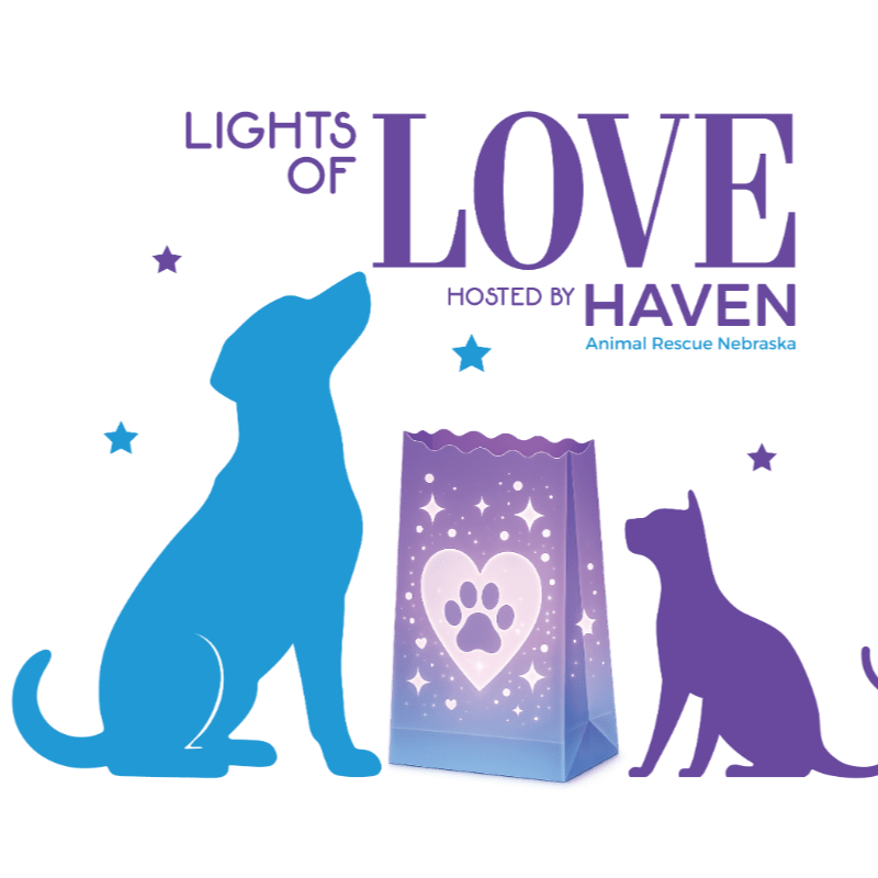 Lights of Love: A Pet Memorial Luminary Celebration