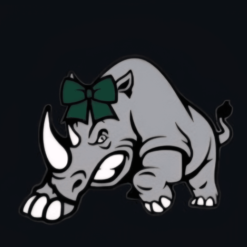 Mascot Returning Cheerleader Uniform 2026