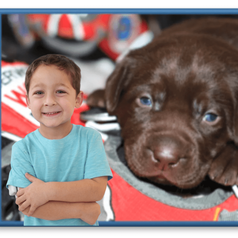 Diabetic Alert Dog Fundraiser Raffle for a Lil Hero