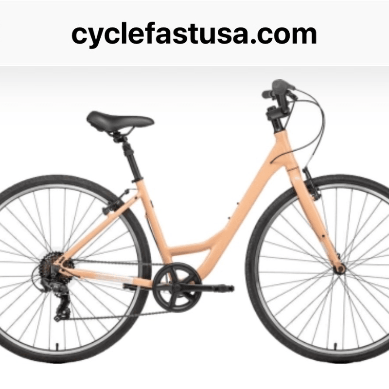 $500 Adult Comfort Bicycle - Step-Through Style