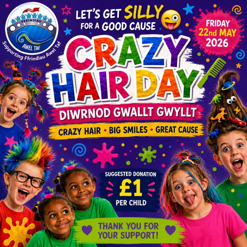 🤡cRAZY hAIR dAY/DiwRNOD gWalLt GwylLt🤡