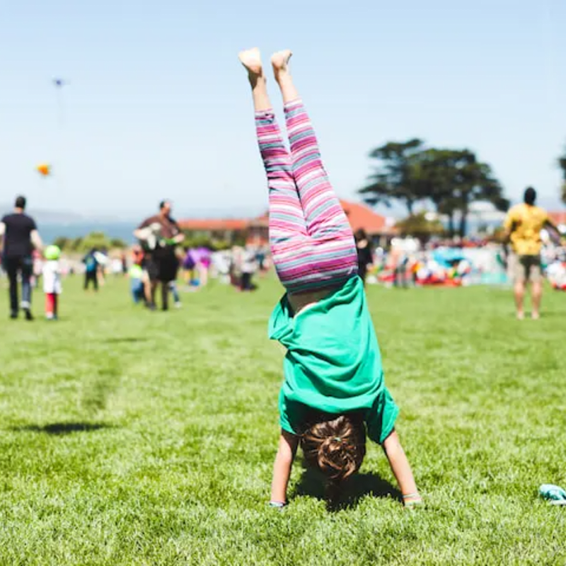 Presidio Pop Up