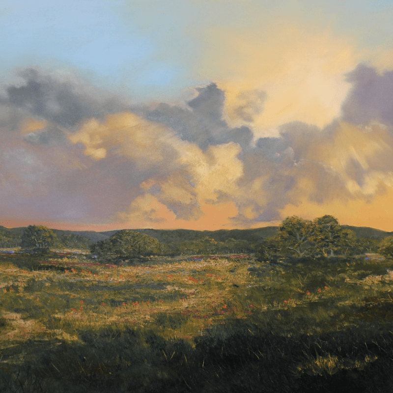 Hill Country Horizons: A 3-Day Start-to-Finish Landscape Intensive with Pauly Tamez