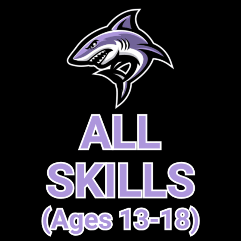 SUMMER: All Skills (Ages: 13-18)