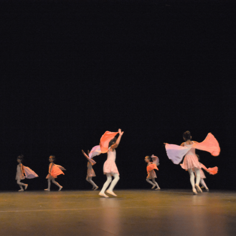 Crossmaneuver and House of Indian Dance Year-End Student Recital with Special Guests Paper Rabbits