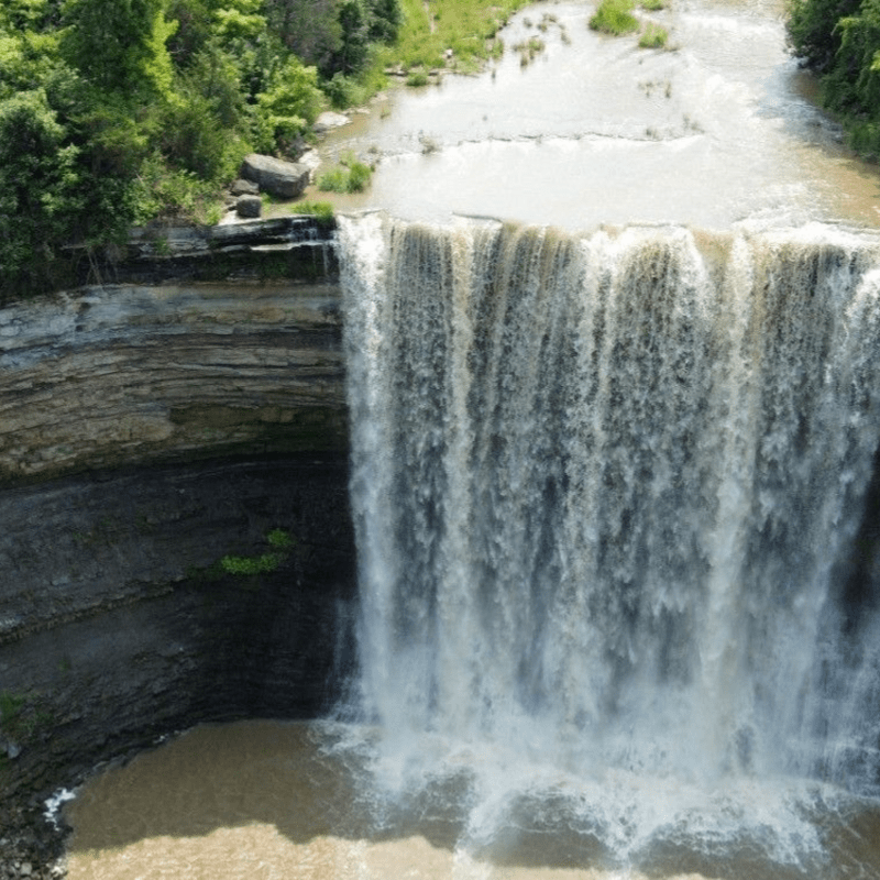 Friends of The Niagara Geopark