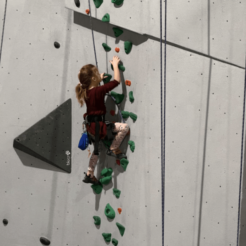 Programme de session - automne - Lézards (7-8 ans)