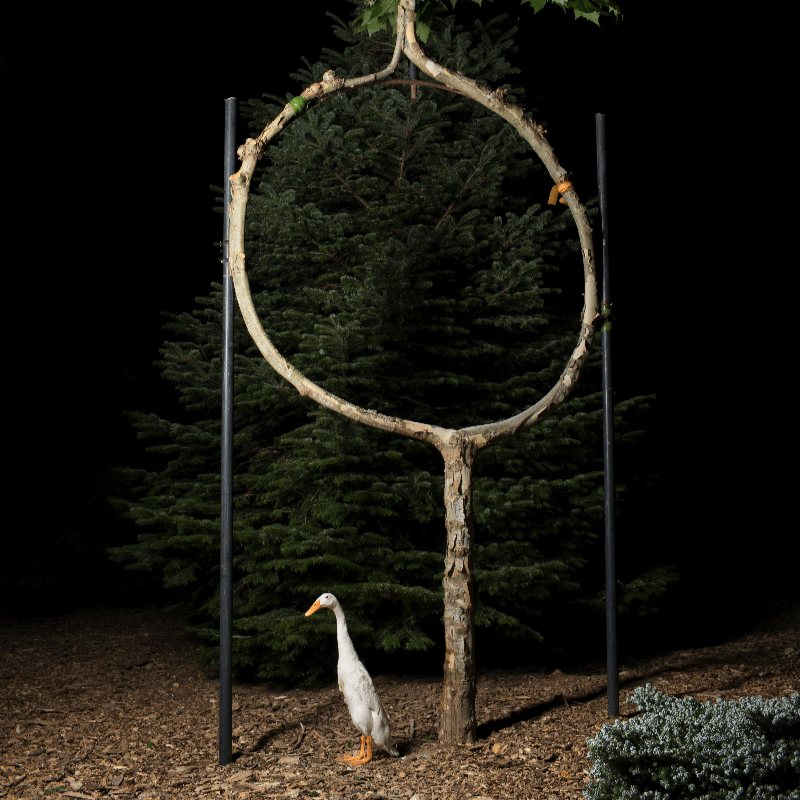 Support our Trees and the Arts in Our Community