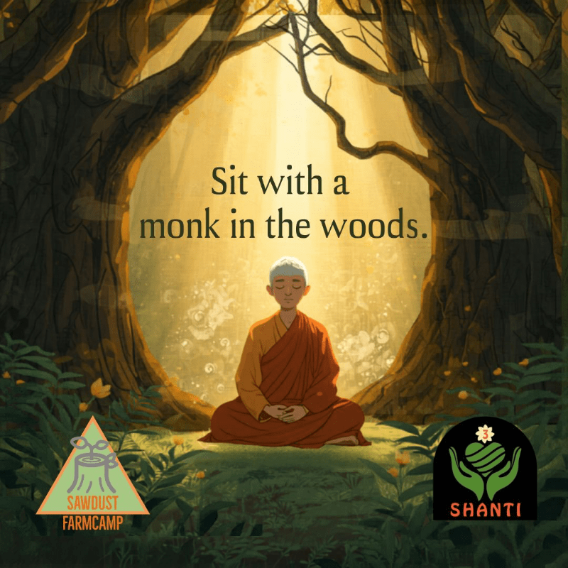 Sitting with Swamini in the Woods