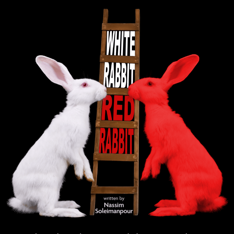 White Rabbit Red Rabbit White Rabbit Red Rabbit