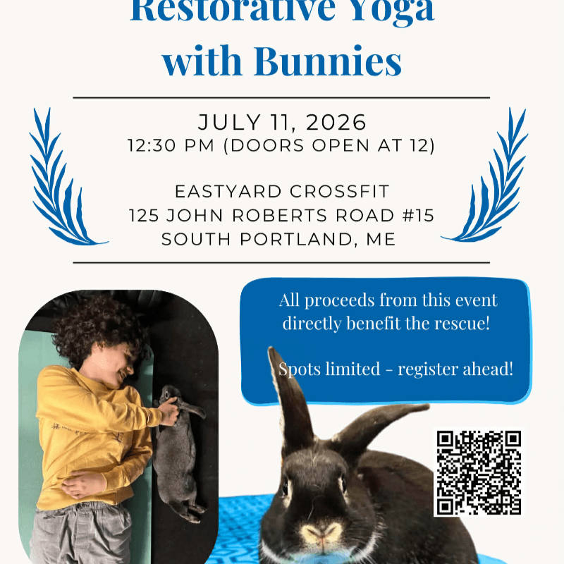 Restorative Yoga with Bunnies - 7/11/26