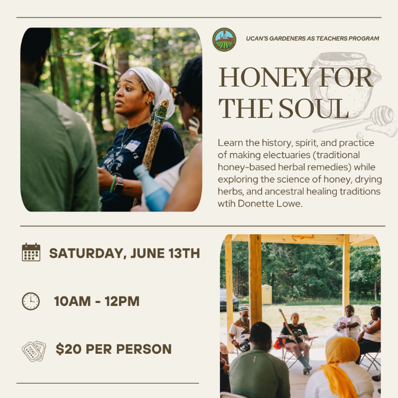 Honey for the Soul