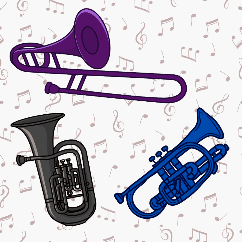 Help Fund Beginner Instruments Used in Our Outreach Programme