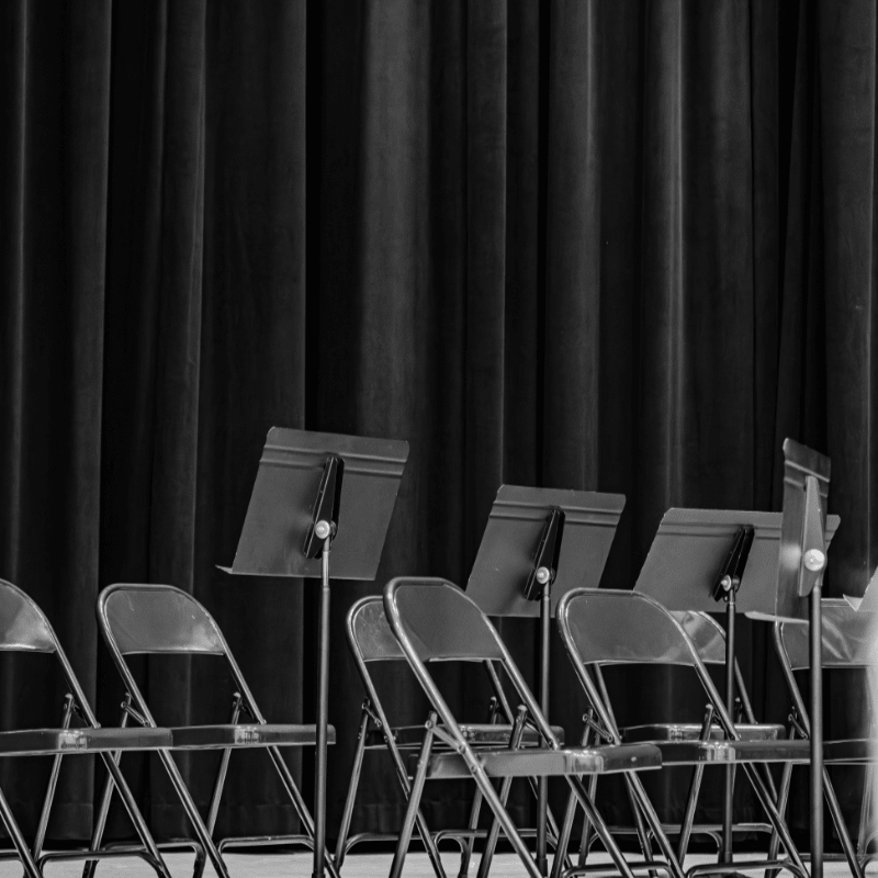 Virtuosi of Houston Audition Fees