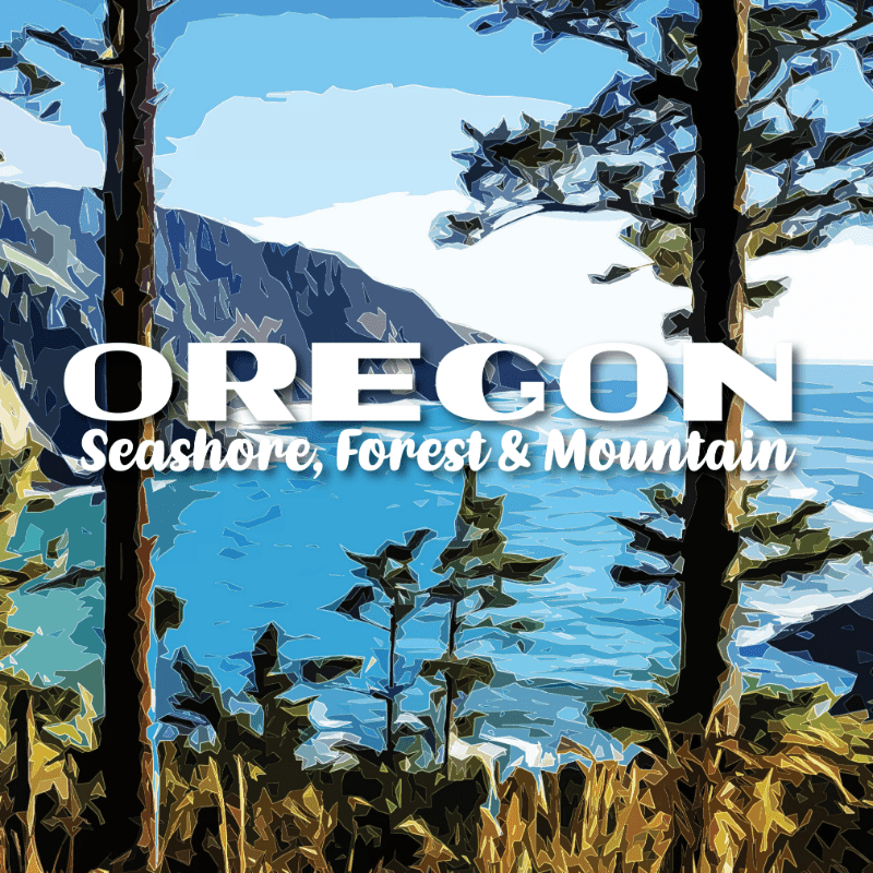 Quilt Show 2026
