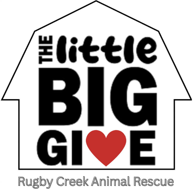 The "Little Big Give" Community Movement