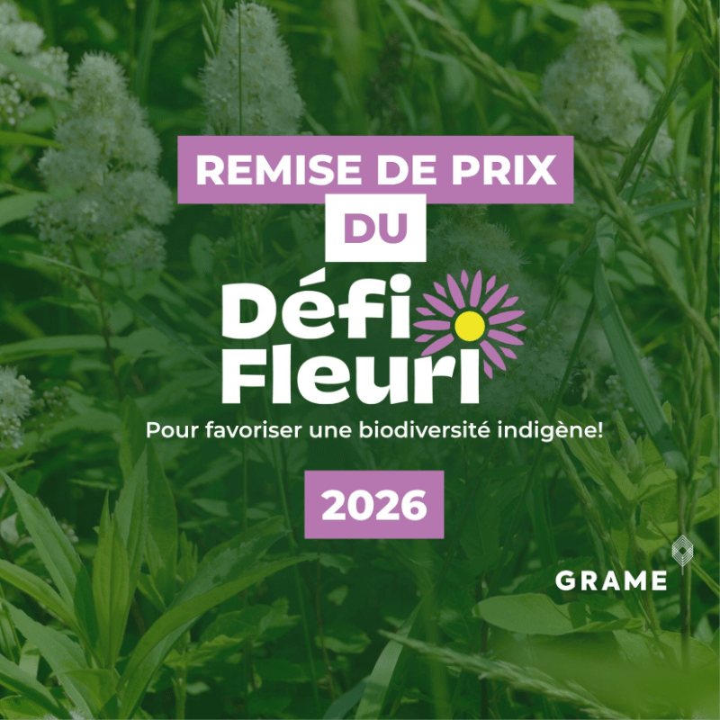 Remise de prix du Défi Fleuri 🌷