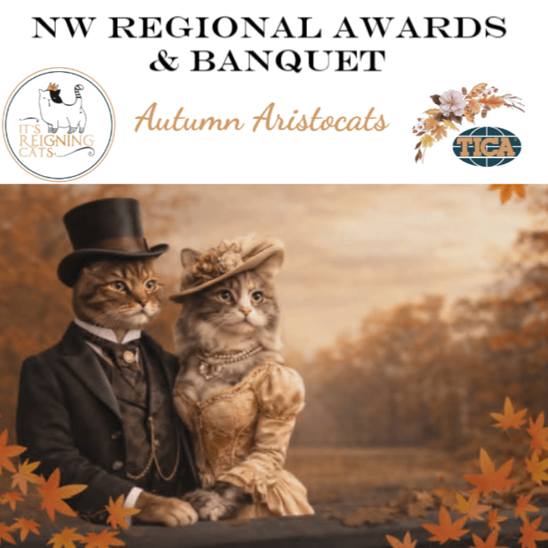 Regional Awards and Banquet