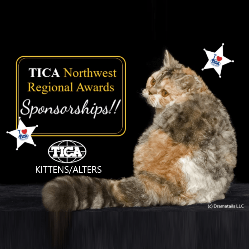 TICA NW Regional Awards - Kittens/Alters