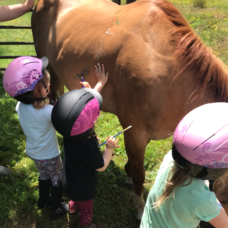 Brighter Horizons Equine Horse Camp 2026