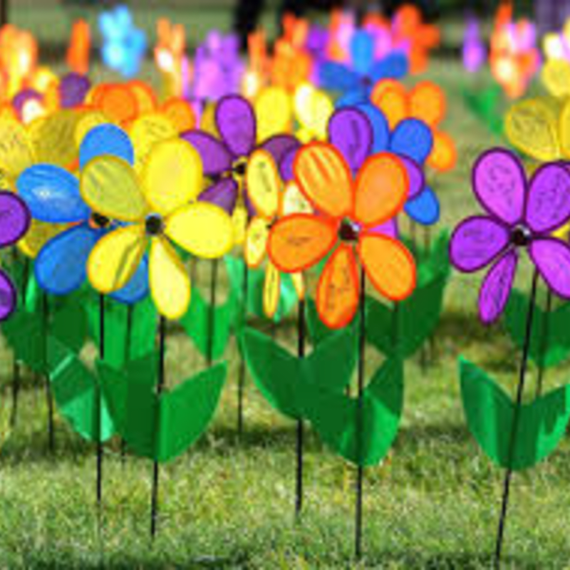 Walk to End Alzheimer's (Team Rotary/Impact)