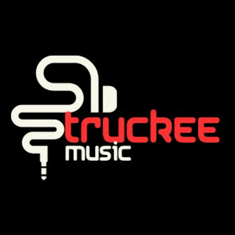 Truckee Music Swag Shop