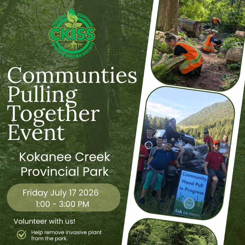 Kokanee Creek Park - Communities Pulling Together Event
