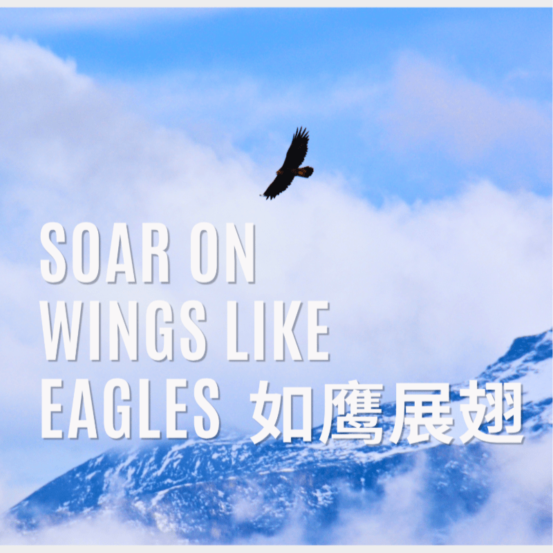同心同行特会 One Heart Conference