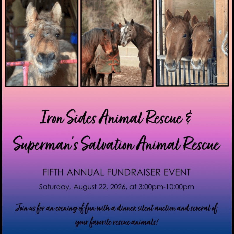 Iron Sides Animal Rescue & Superman’s Salvation Animal Rescue Fifth Annual Summer Fundraiser