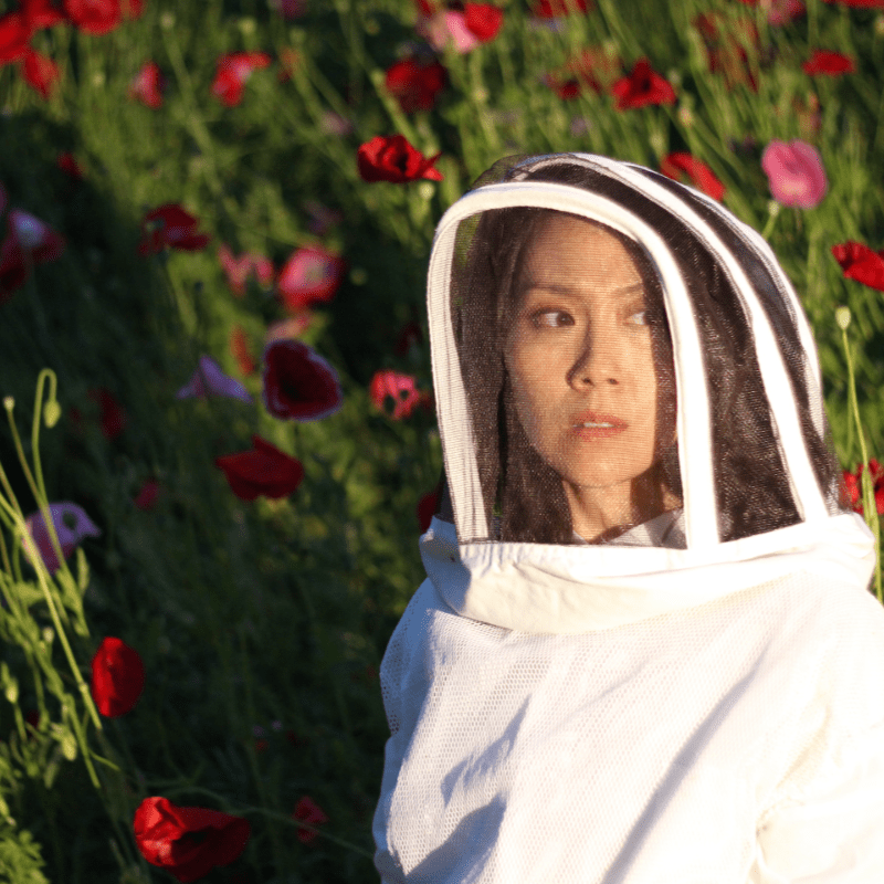 The Apiary by Kate Douglas