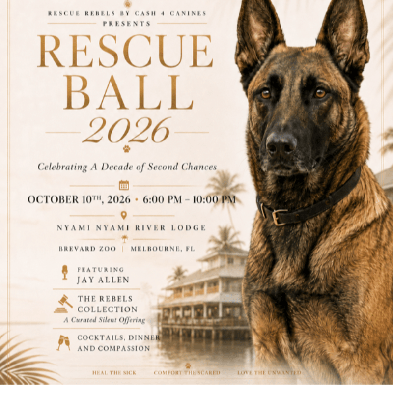 RESCUE BALL 2026 Celebrating a Decade of Second Chances
