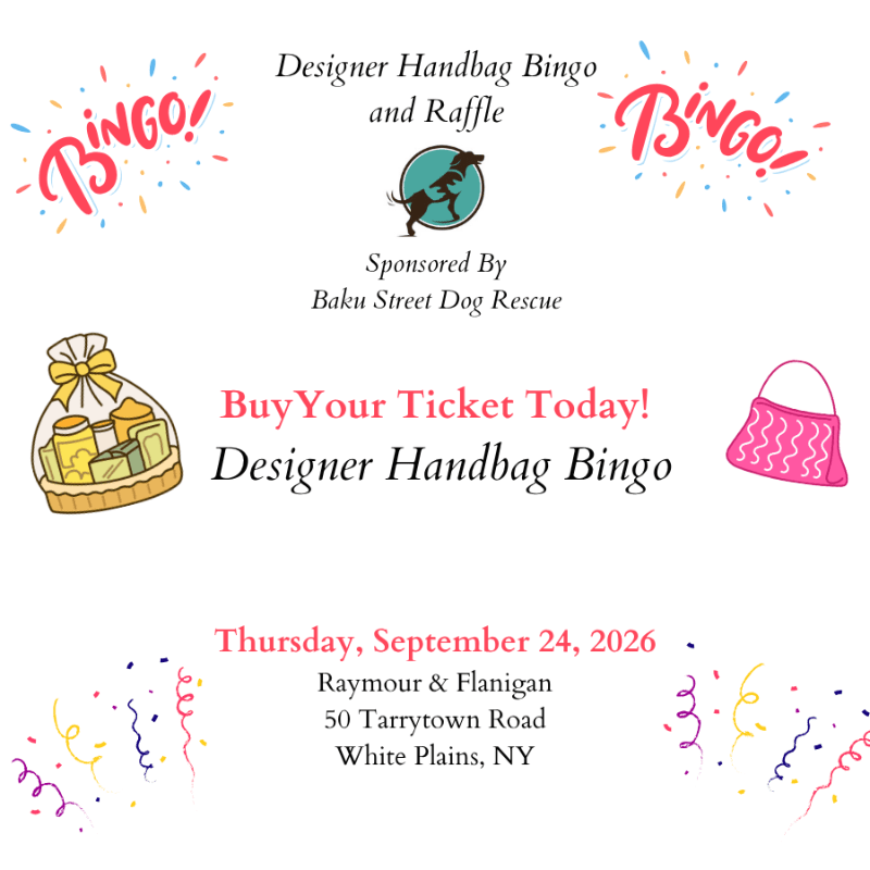 Designer Handbag Bingo & Raffle