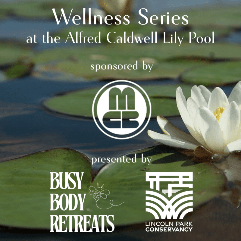 Private Outdoor Sound Bath in Nature at the Alfred Caldwell Lily Pool