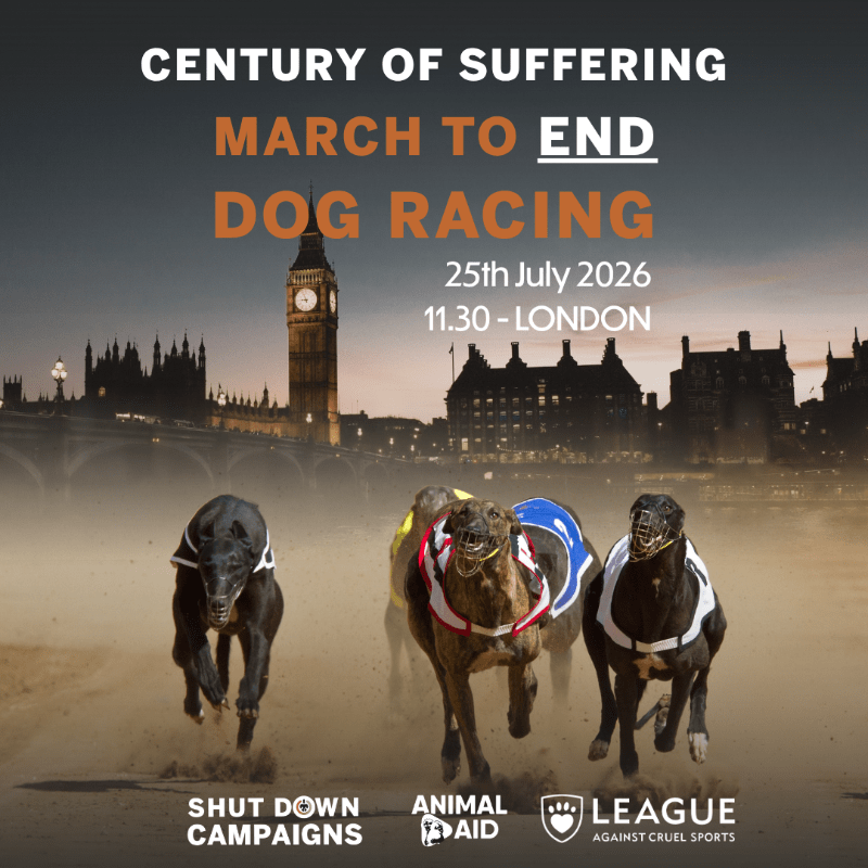 Century of Suffering - March to End Dog Racing Now