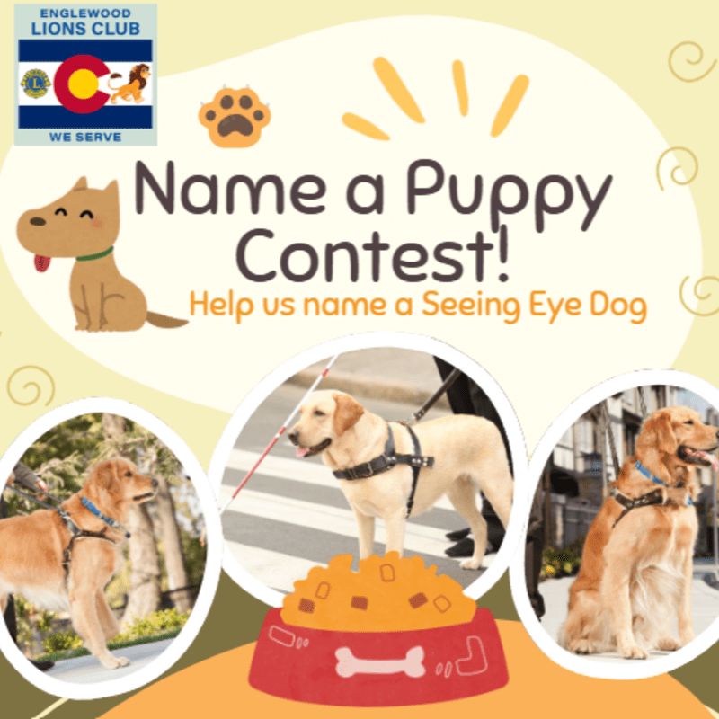 Name A Puppy Contest
