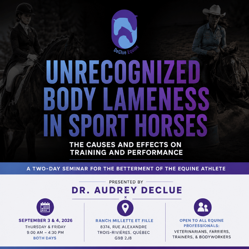 Unrecognized Body Lameness in Sport Horses - the causes and effects on training and performance