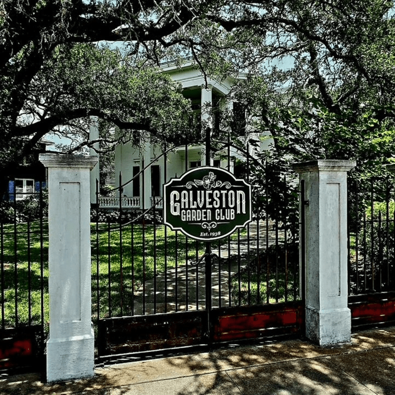 Galveston Garden Club's Memberships