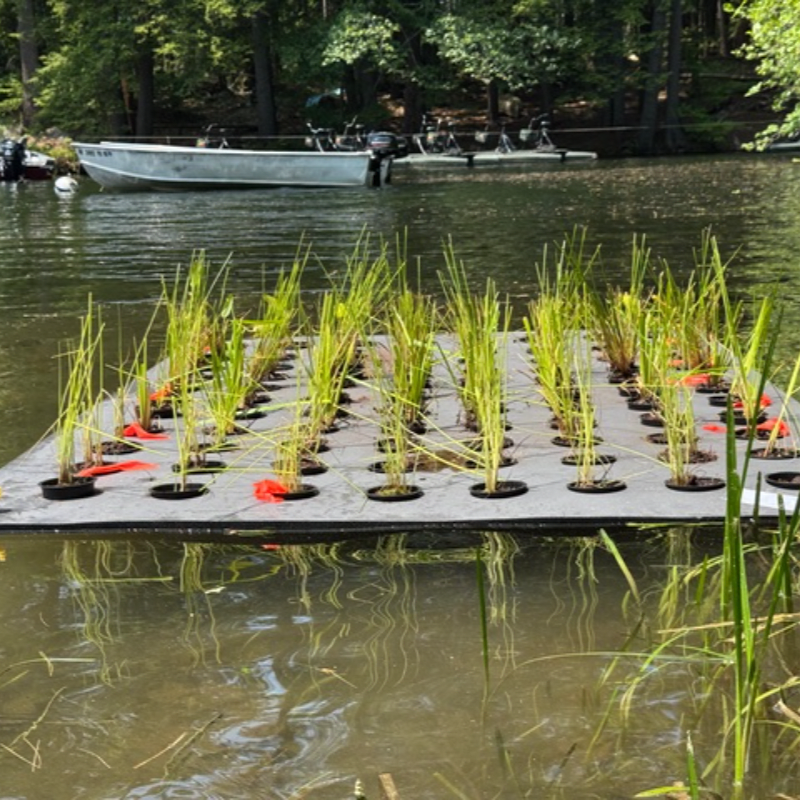 Build Your Own Floating Wetland- July 23