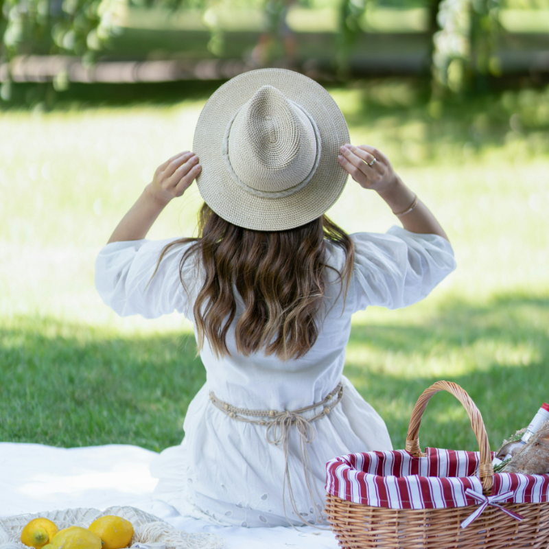 Picnic at park