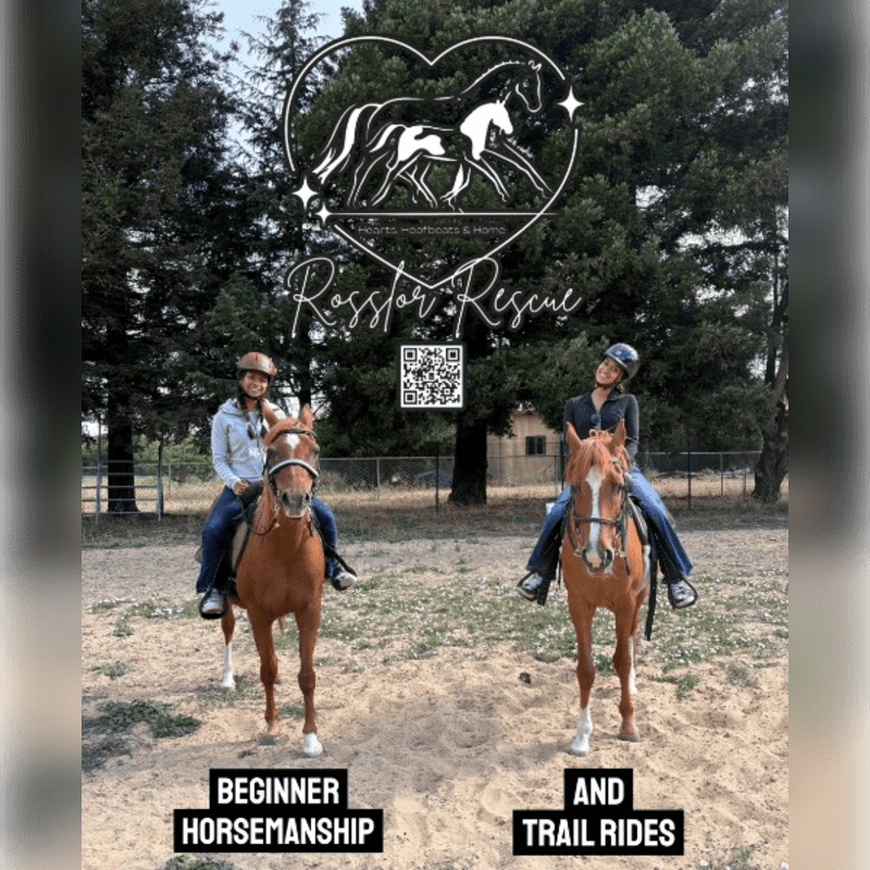 Rescue Tours by Horseback