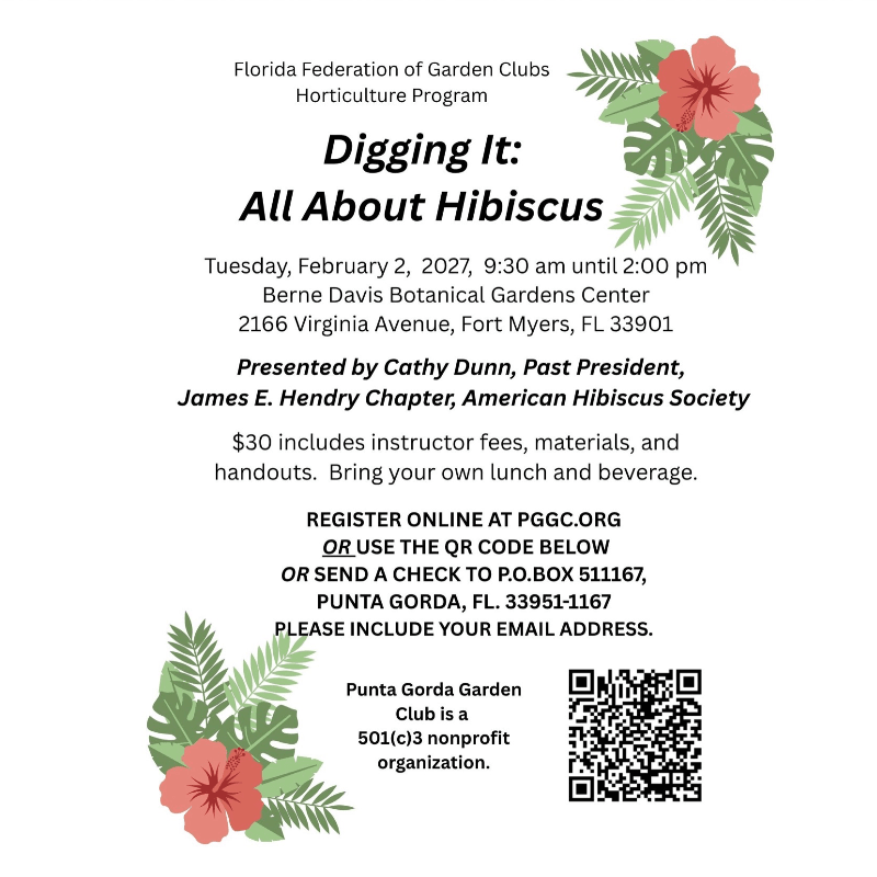 2027 Digging It:  All About Hibiscus