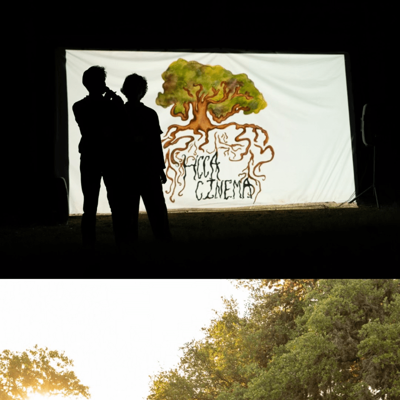 HCCA Cinema Film Submission - Fall 2026