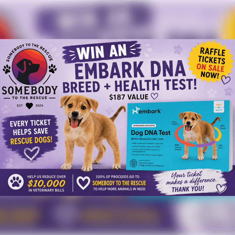 Somebody To The Rescue EMBARK DNA and Health Test