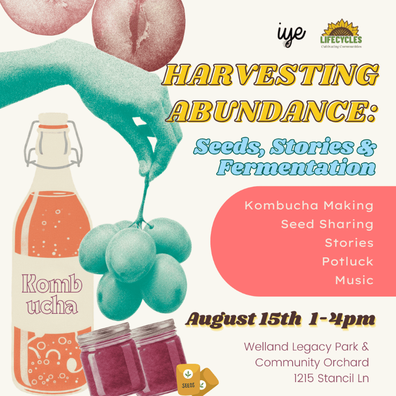 Harvesting Abundance: Seeds, Stories & Fermentation