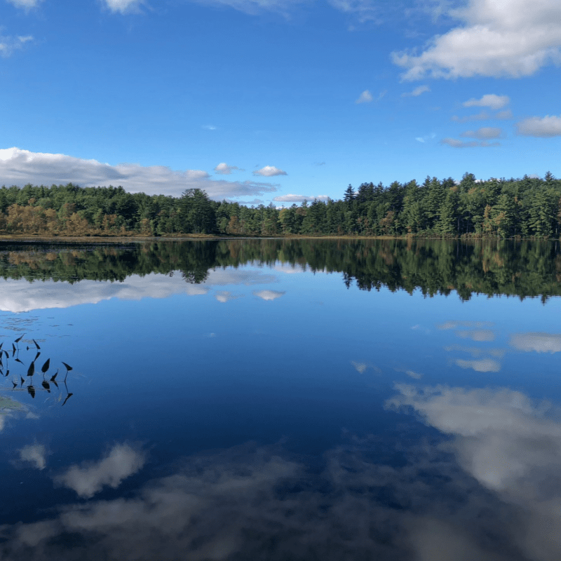 Register to Swim: Graylag Challenge 2026