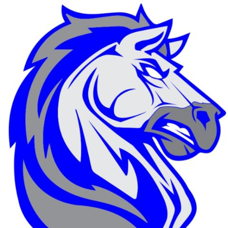 MHS Mustangs Class of 2027 T-shirt, Parent T-shirt, and yard sign sales